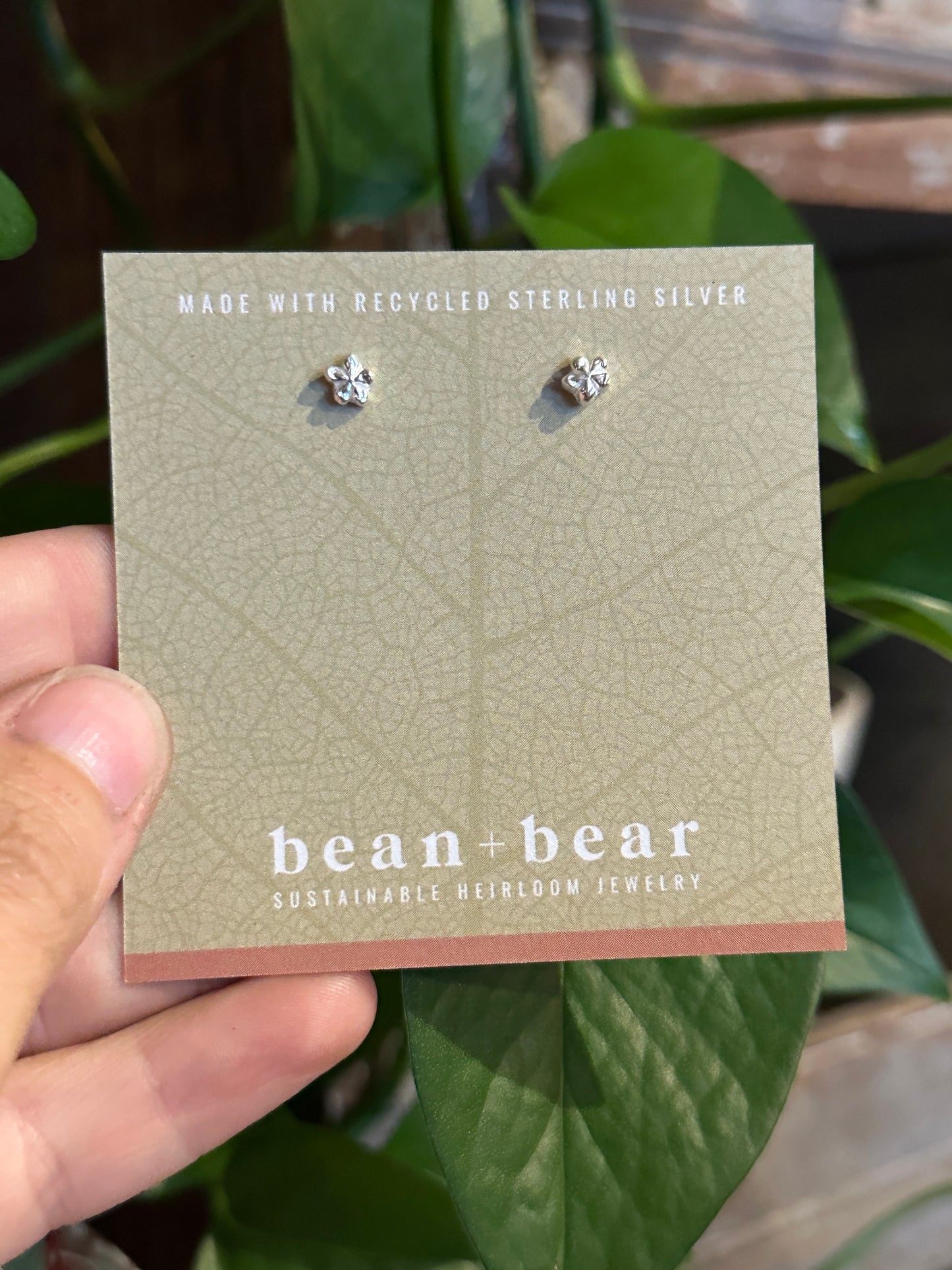 Small Hoya flower Studs