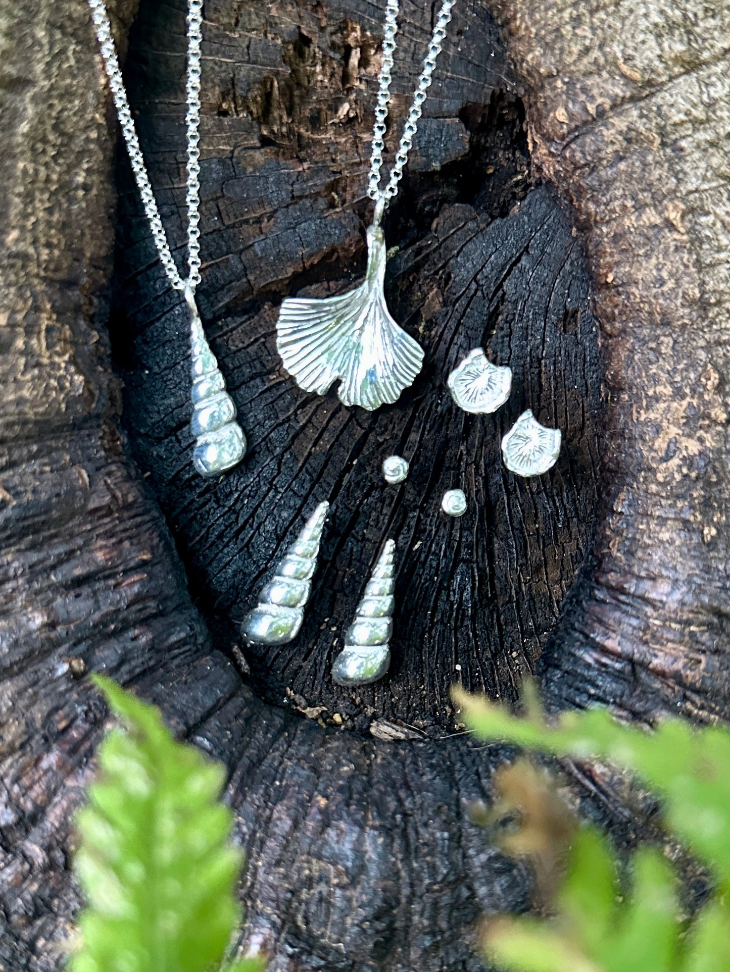 Spiral Shell Earrings