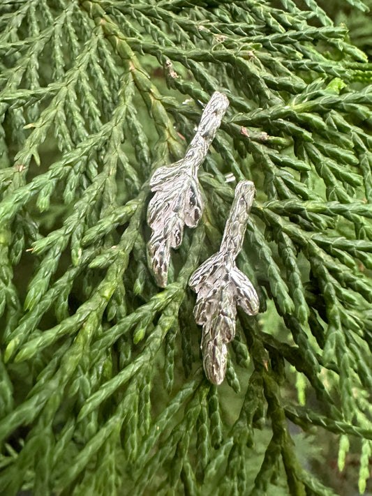 Arborvitae Studs