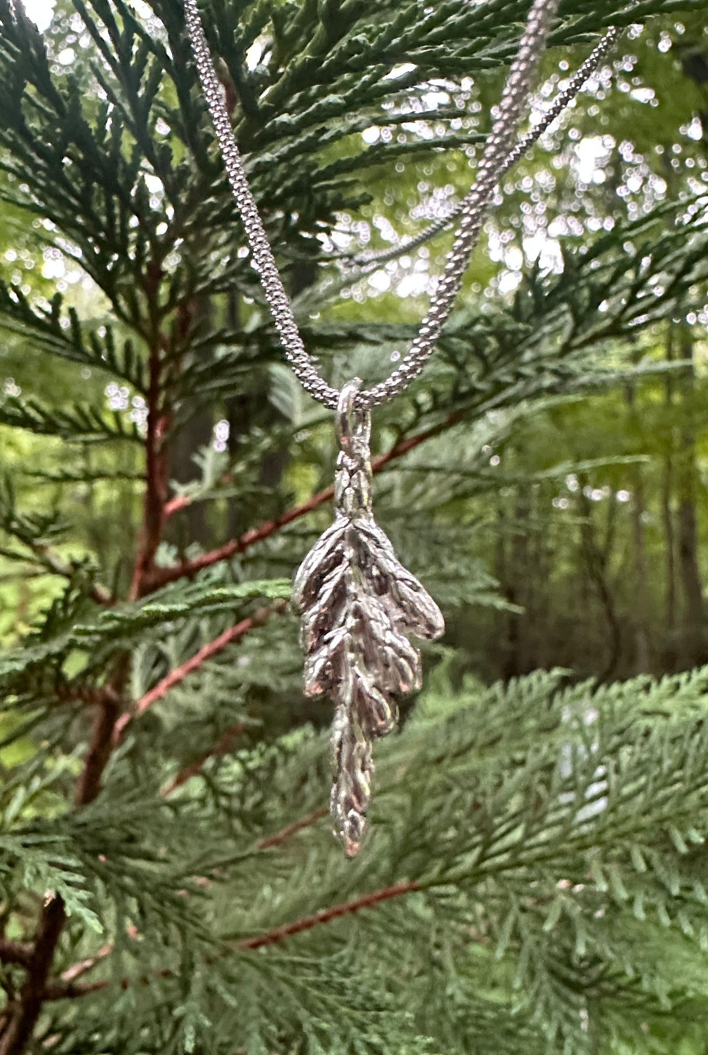 Arborvitae necklace