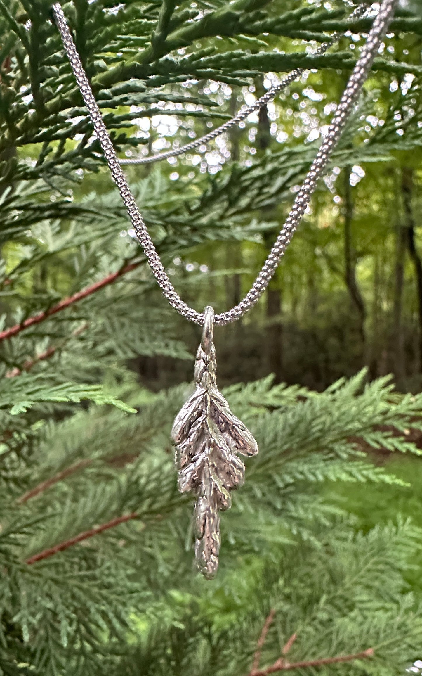 Arborvitae necklace