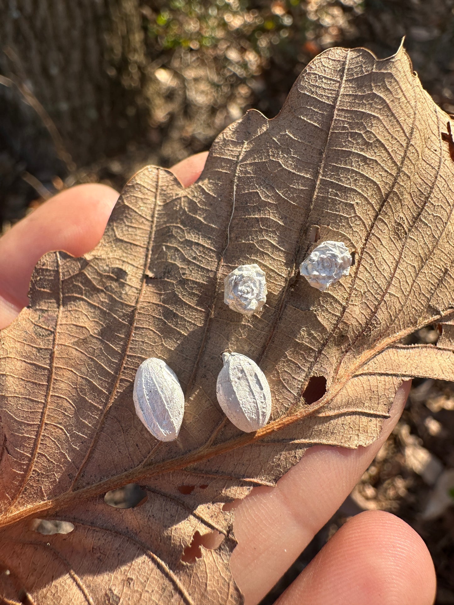 Seed and Rosette Ephemeral Studs