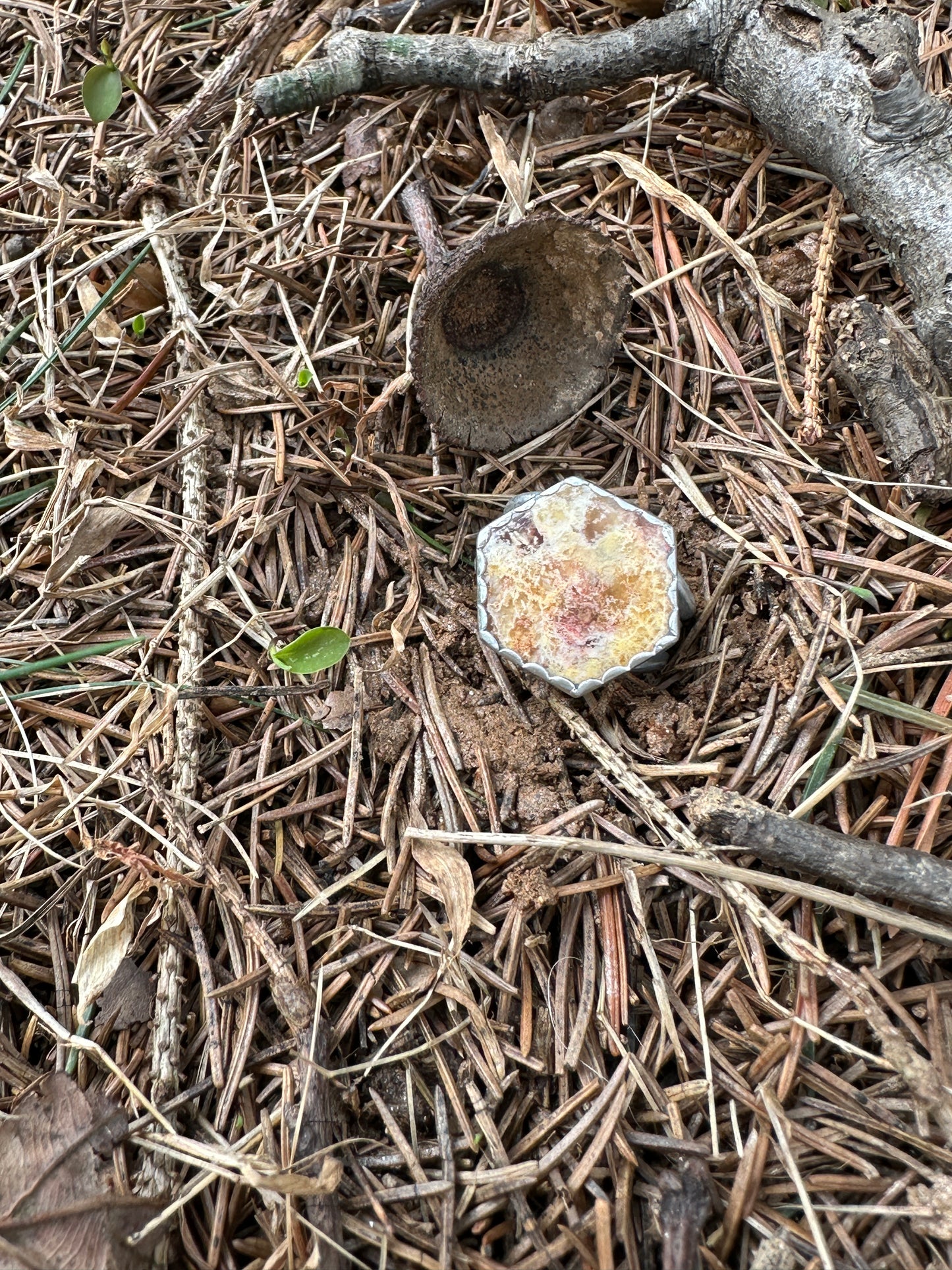 Regency Plume Agate - Honeycomb shape size 6 1/2
