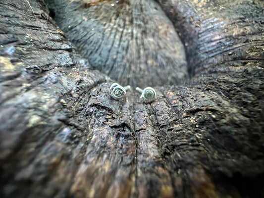 Snail Studs