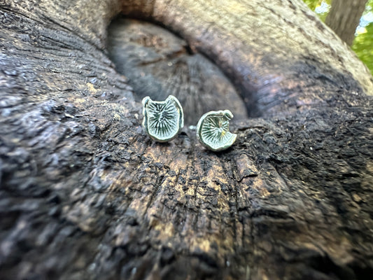 Fungus / Mushroom studs