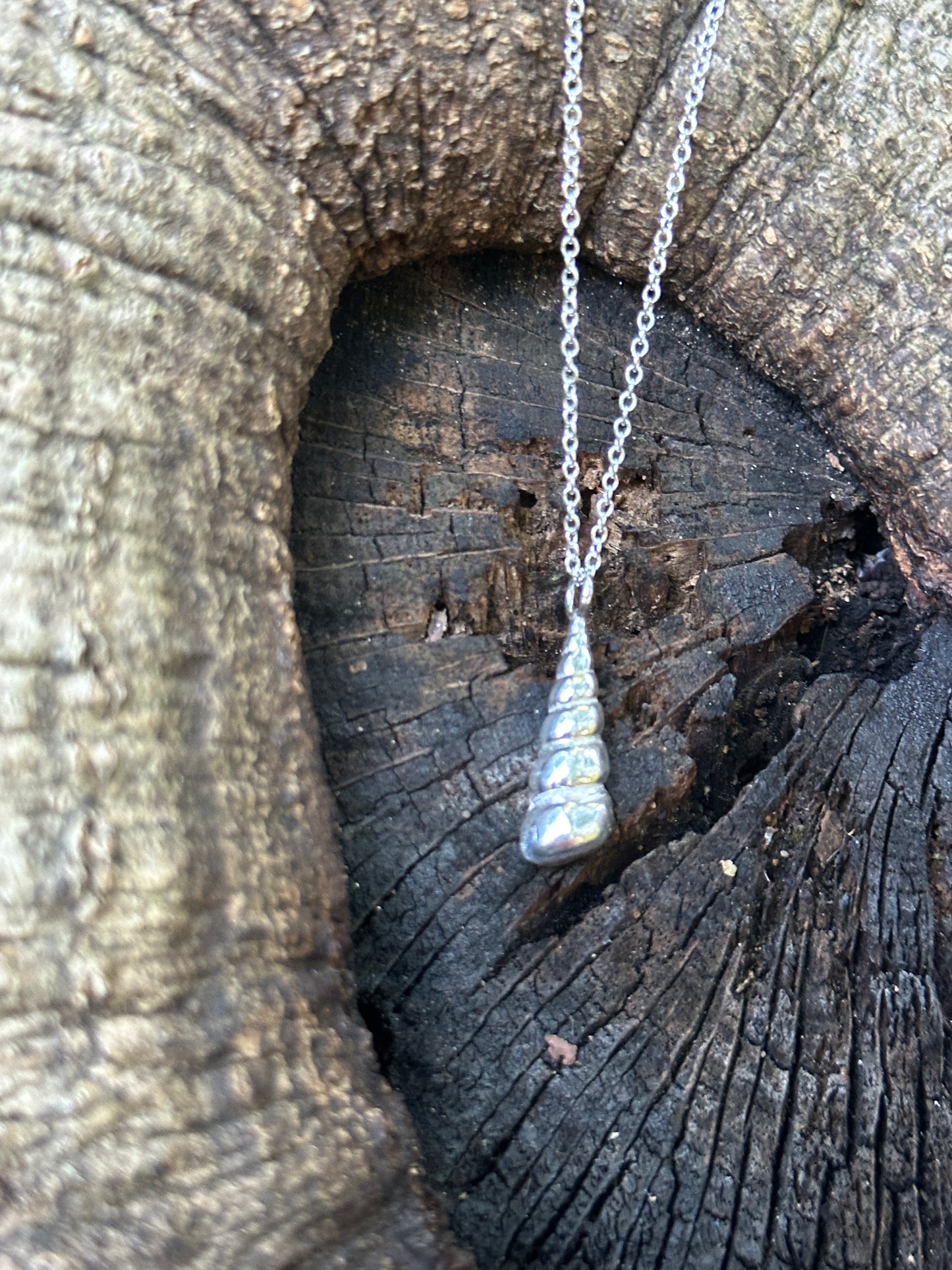 Spiral Shell Necklace