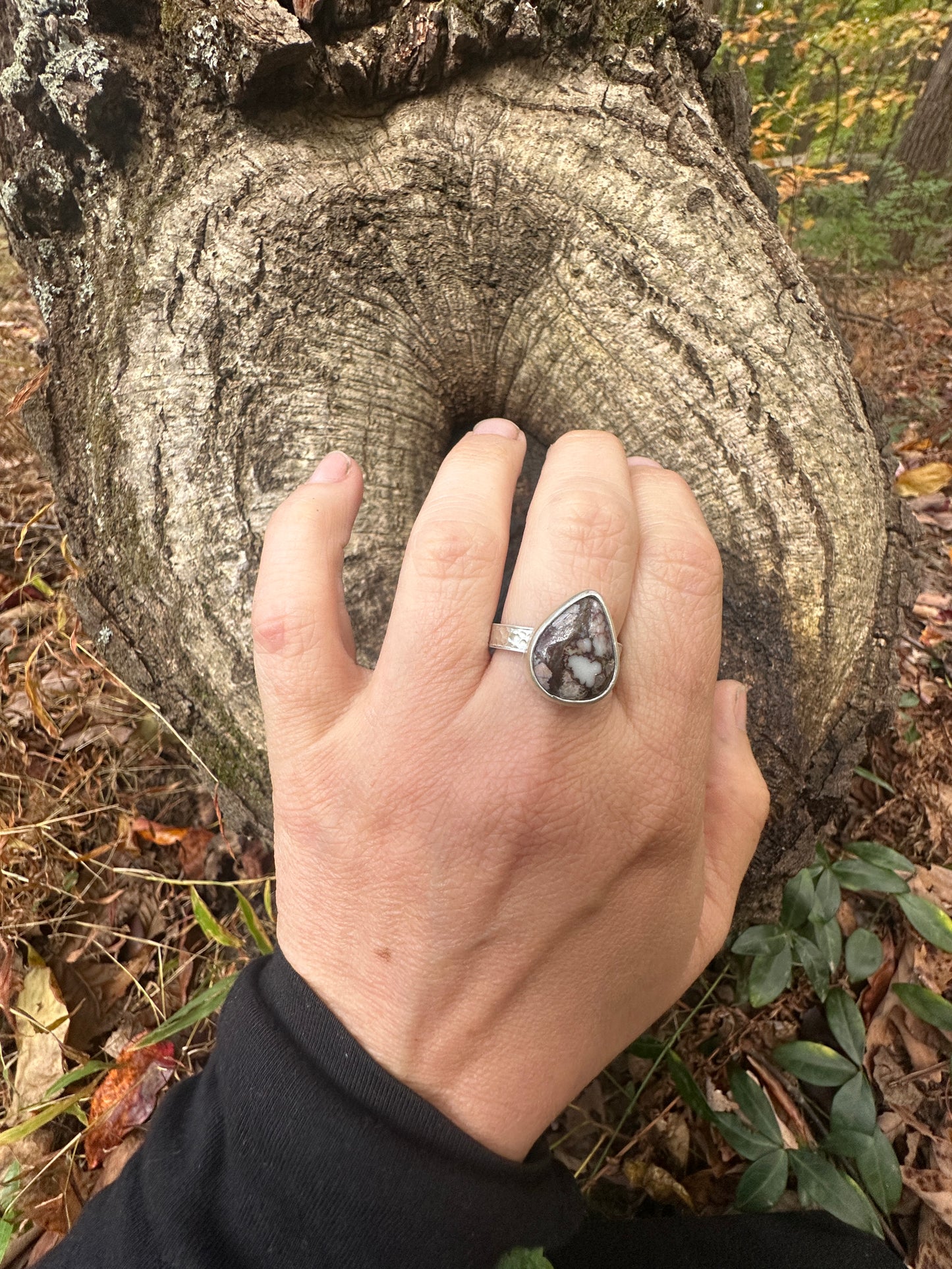 Wildhorse Jasper Ring - size 8.5