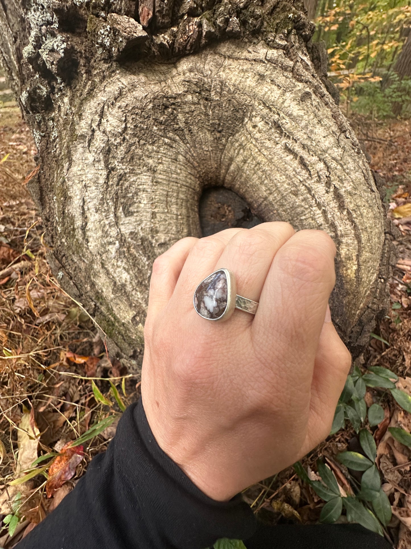 Wildhorse Jasper Ring - size 8.5