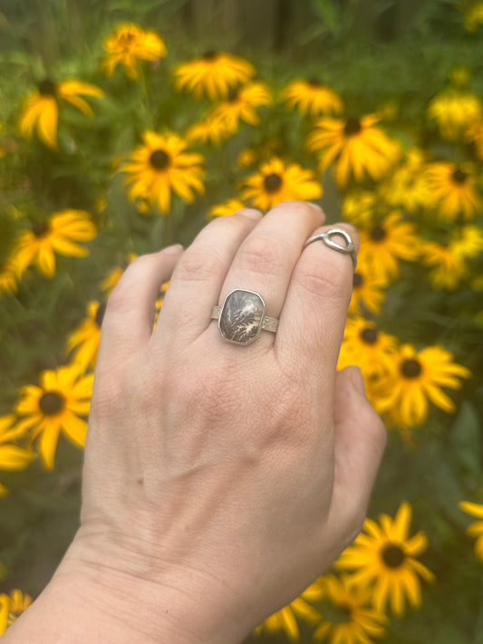 Framed Dendritic Agate ring - size 9
