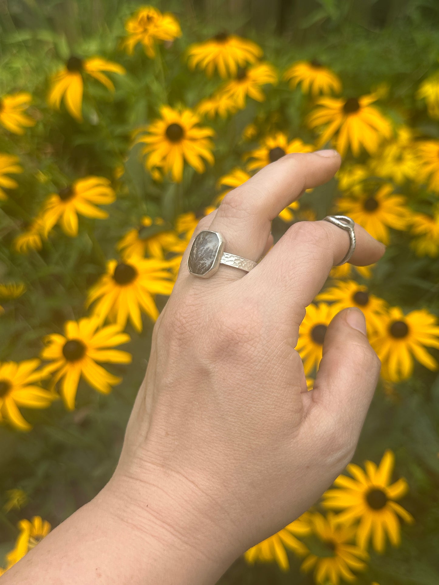 Framed Dendritic Agate ring - size 9