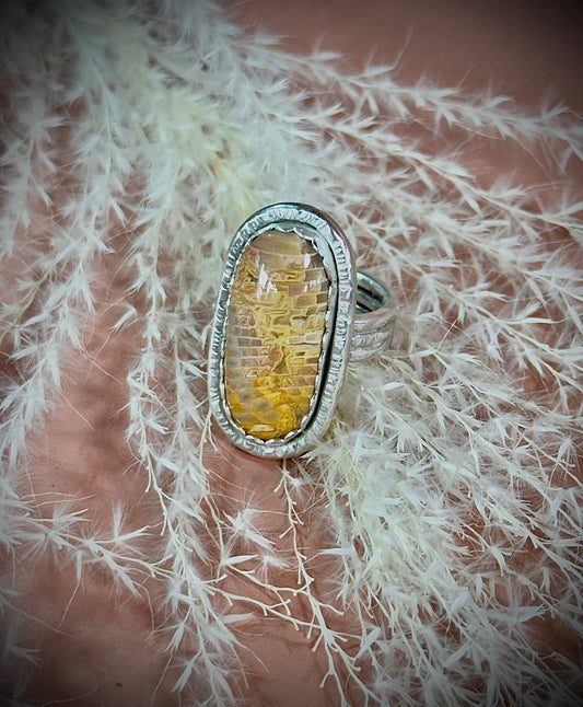 Fossilized/Agatized Coral hammered sterling ring - size 7