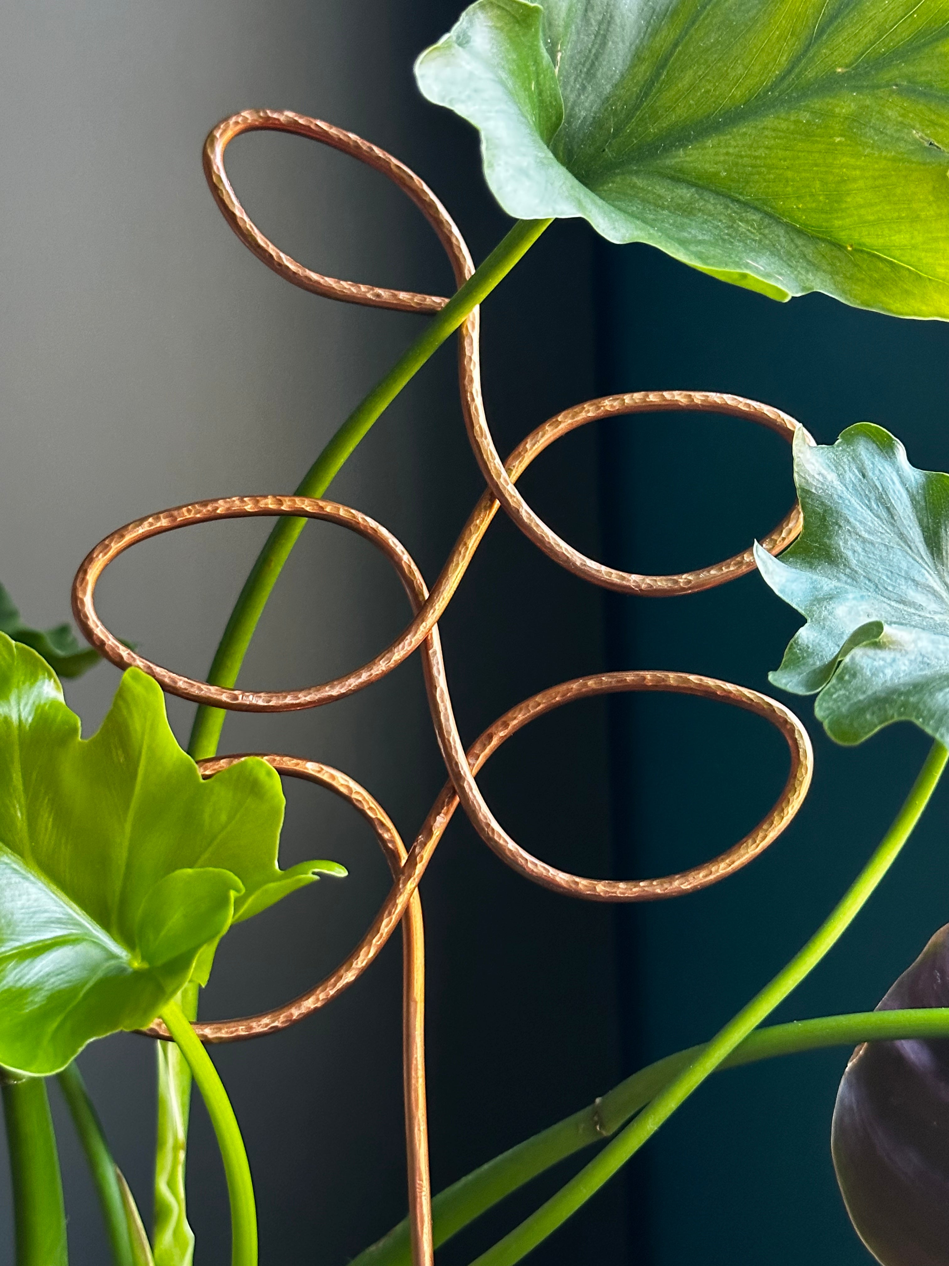 Plant Trellis - Leaves and Snake styles – Bean and Bear Studio