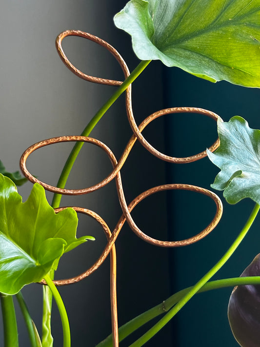 Plant Trellis - Leaves and Snake styles